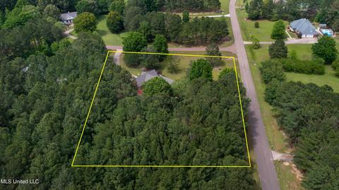 101 Shaffer Court Ct, Madison, MS 39110 photo 69
