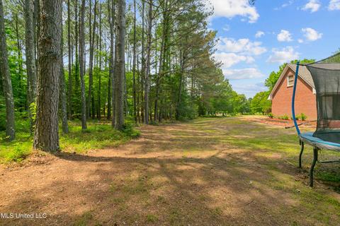 101 Shaffer Court Ct, Madison, MS 39110 photo 55