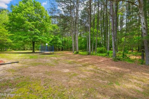 101 Shaffer Court Ct, Madison, MS 39110 photo 57
