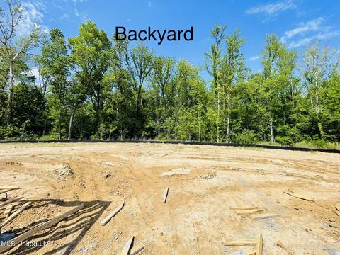 4444 Mitchell Pl, Olive Branch, MS 38654 photo 3