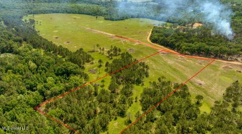 Nhn Lenora Drive, Carriere, MS 39426