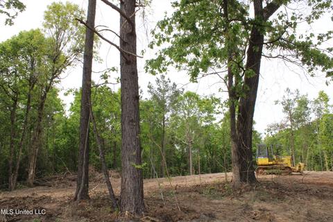 4651 Highway 72, Walnut, MS 38683 photo 13