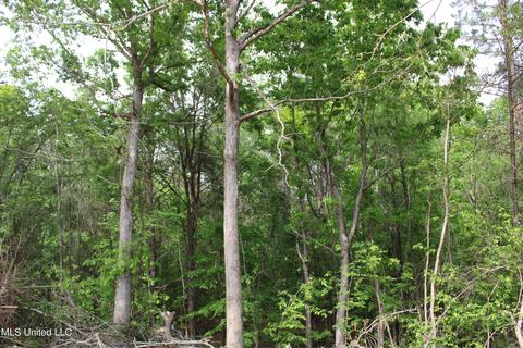 4651 Highway 72, Walnut, MS 38683 photo 17