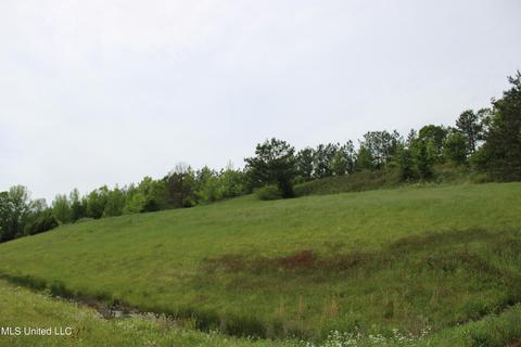 4651 Highway 72, Walnut, MS 38683 photo 4