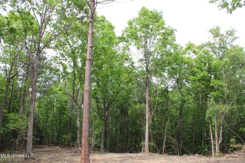 4651 Highway 72, Walnut, MS 38683 photo 15