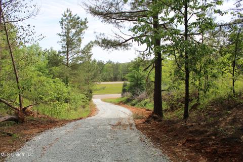 4651 Highway 72, Walnut, MS 38683 photo 6