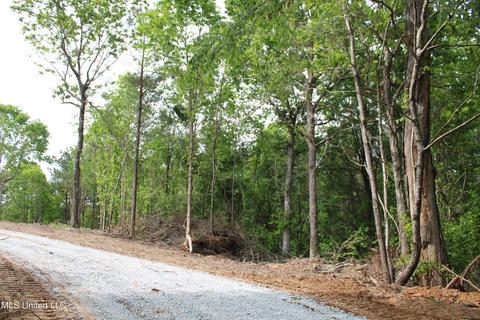 4651 Highway 72, Walnut, MS 38683 photo 5