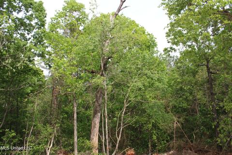 4651 Highway 72, Walnut, MS 38683 photo 9