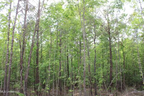4651 Highway 72, Walnut, MS 38683 photo 14