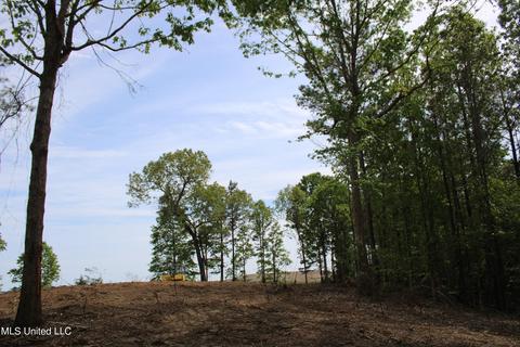 4651 Highway 72, Walnut, MS 38683 photo 16