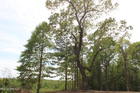 4651 Highway 72, Walnut, MS 38683 photo 7