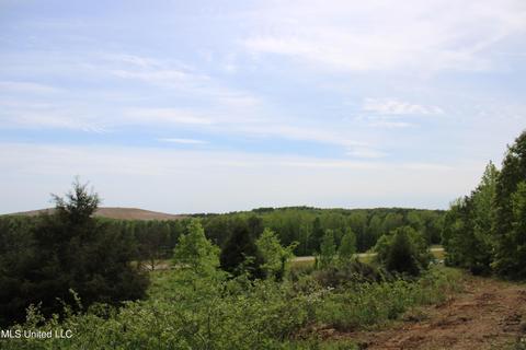 4651 Highway 72, Walnut, MS 38683 photo 12