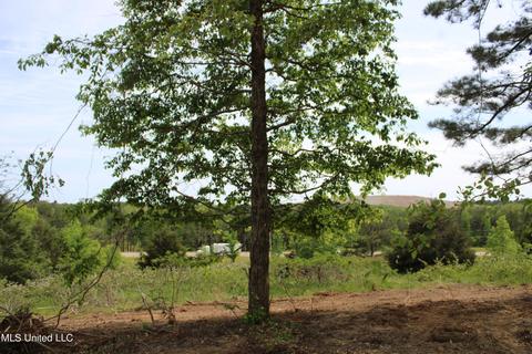 4651 Highway 72, Walnut, MS 38683 photo 11