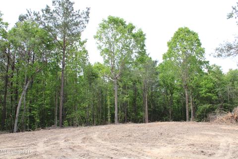 4651 Highway 72, Walnut, MS 38683 photo 10