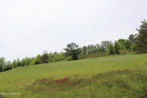 4651 Highway 72, Walnut, MS 38683 photo 2