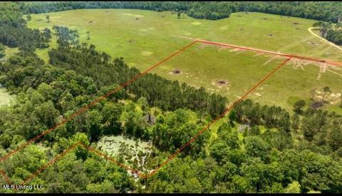 Nhn Lot 5 Lenora Drive, Carriere, MS 39426