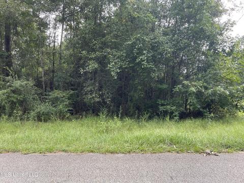 00 Treasure Pt, Carriere, MS 39426