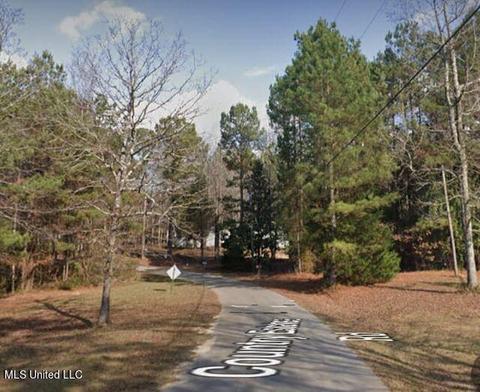 Country Estates Road, Florence, MS 39073