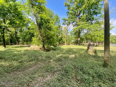 2100 Pascagoula River Dr, Lucedale, MS 39452 photo 12