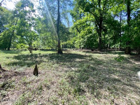 2100 Pascagoula River Dr, Lucedale, MS 39452 photo 17