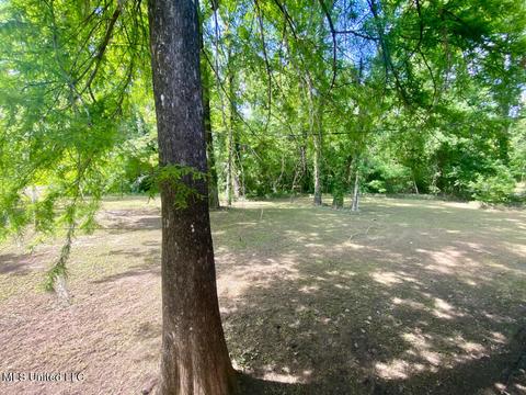 2100 Pascagoula River Dr, Lucedale, MS 39452 photo 6