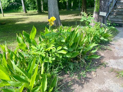2100 Pascagoula River Dr, Lucedale, MS 39452 photo 3