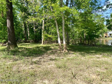 2100 Pascagoula River Dr, Lucedale, MS 39452 photo 13