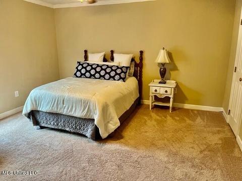 202 Concord Dr, Clinton, MS 39056 photo 39