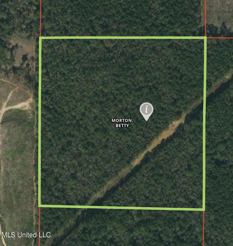 No Smith Co Rd 502, Pulaski, MS 39152