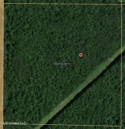 No Smith Co Rd 502, Pulaski, MS 39152 photo 2