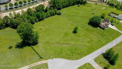 1620 Jefferson Davis Cv, Nesbit, MS 38651 photo 6