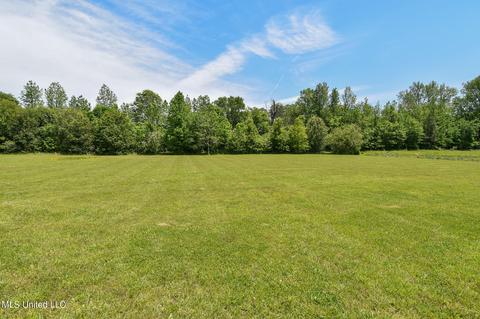 1620 Jefferson Davis Cv, Nesbit, MS 38651 photo 2
