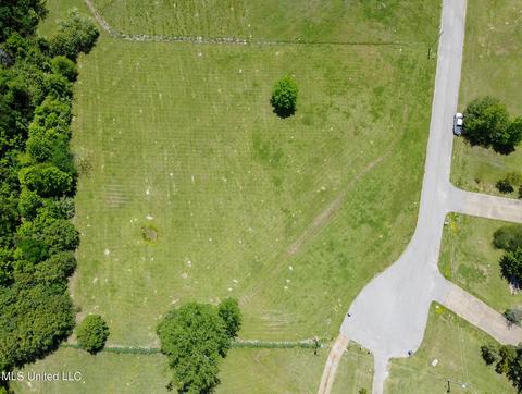 1620 Jefferson Davis Cv, Nesbit, MS 38651 photo 4