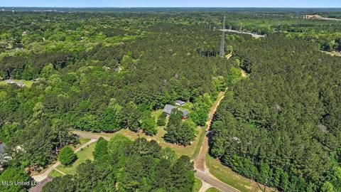 661 Trickhambridge Rd, Brandon, MS 39042 photo 59