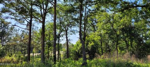 Nhn Dupont Harts Chapel Road, Poplarville, MS 39470