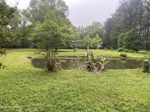 2504 Old Hwy 26, Wiggins, MS 39577 photo 6