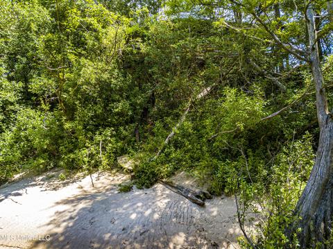 2504 Old Hwy 26, Wiggins, MS 39577 photo 42