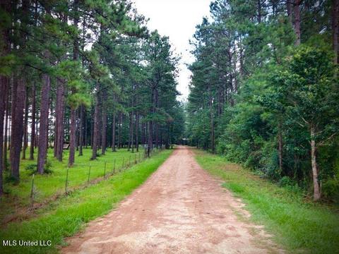 2504 Old Hwy 26, Wiggins, MS 39577 photo 23