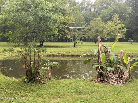 2504 Old Hwy 26, Wiggins, MS 39577 photo 7