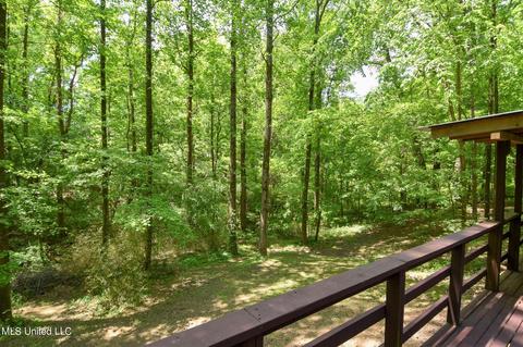 10717 Ben Vorlichs Head Rd, Hernando, MS 38632 photo 18