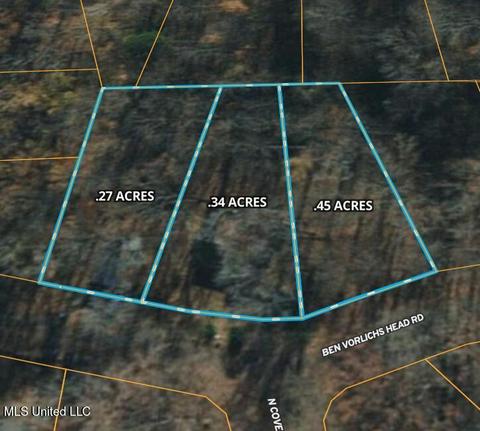 10717 Ben Vorlichs Head Rd, Hernando, MS 38632 photo 36