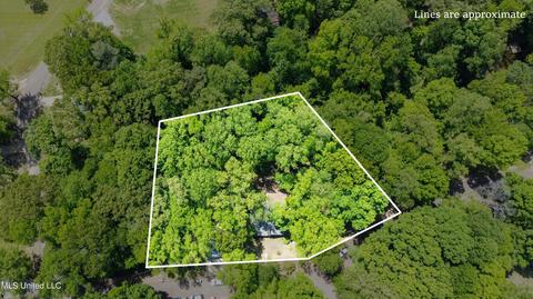 10717 Ben Vorlichs Head Rd, Hernando, MS 38632 photo 33