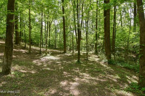 10717 Ben Vorlichs Head Rd, Hernando, MS 38632 photo 32