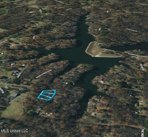 10717 Ben Vorlichs Head Rd, Hernando, MS 38632 photo 37