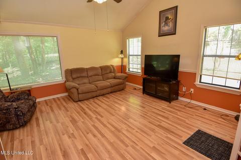 10717 Ben Vorlichs Head Rd, Hernando, MS 38632 photo 9