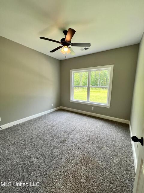 4494 Polk Ln, Olive Branch, MS 38654 photo 29