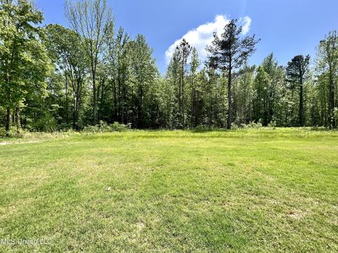 4494 Polk Ln, Olive Branch, MS 38654 photo 34