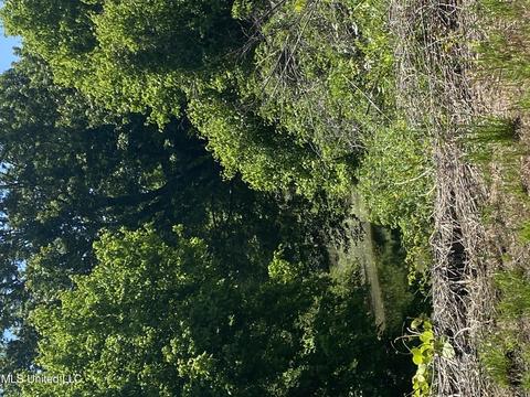 5 Bend Rd, Coldwater, MS 38618