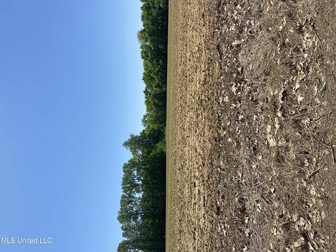 6 Moore Rd, Coldwater, MS 38618
