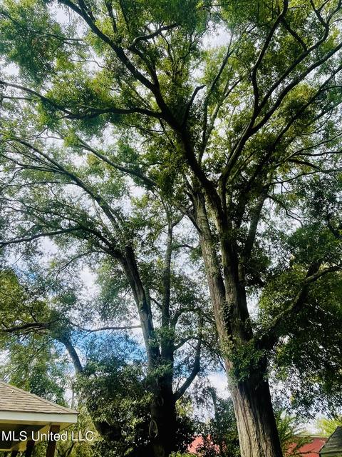 219 Summer St, Lucedale, MS 39452 photo 7